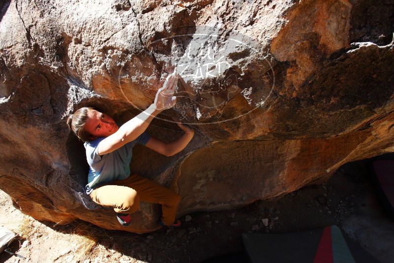 

Filename: SRM_20180329_1036340.jpg
Aperture: f/7.1
Shutter Speed: 1/250
Body: Canon EOS-1D Mark II
Lens: Canon EF 16-35mm f/2.8 L