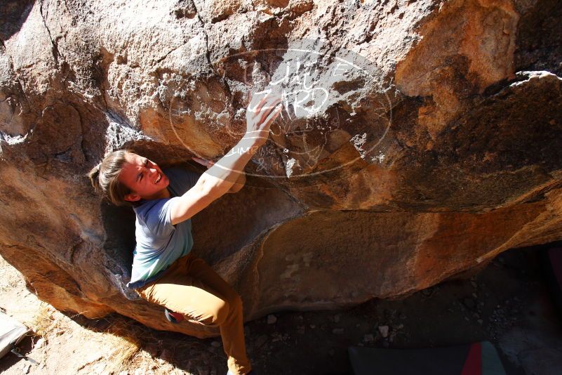 

Filename: SRM_20180329_1036500.jpg
Aperture: f/7.1
Shutter Speed: 1/250
Body: Canon EOS-1D Mark II
Lens: Canon EF 16-35mm f/2.8 L