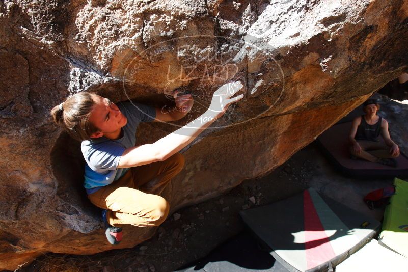 

Filename: SRM_20180329_1041380.jpg
Aperture: f/7.1
Shutter Speed: 1/250
Body: Canon EOS-1D Mark II
Lens: Canon EF 16-35mm f/2.8 L