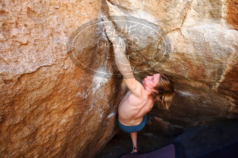 

Filename: SRM_20180329_1055570.jpg
Aperture: f/3.5
Shutter Speed: 1/250
Body: Canon EOS-1D Mark II
Lens: Canon EF 16-35mm f/2.8 L