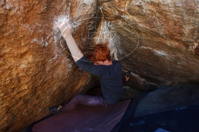 

Filename: SRM_20180329_1120400.jpg
Aperture: f/4.0
Shutter Speed: 1/250
Body: Canon EOS-1D Mark II
Lens: Canon EF 16-35mm f/2.8 L