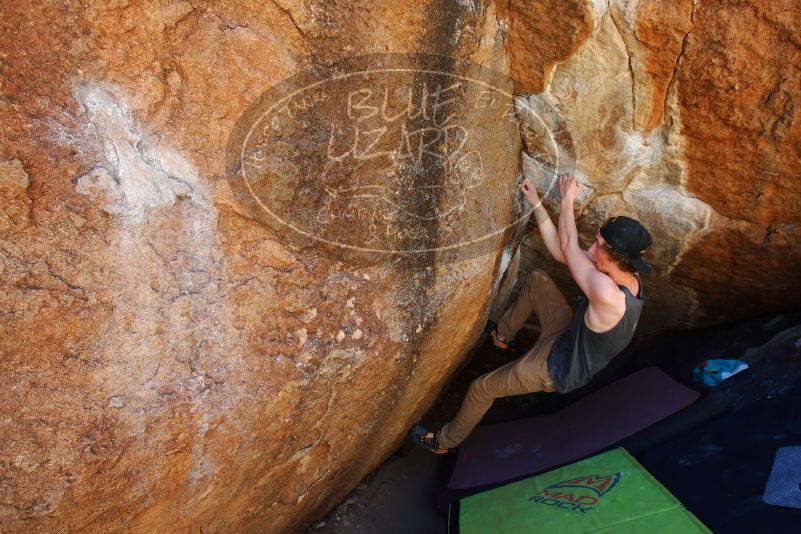 

Filename: SRM_20180329_1124570.jpg
Aperture: f/5.6
Shutter Speed: 1/250
Body: Canon EOS-1D Mark II
Lens: Canon EF 16-35mm f/2.8 L