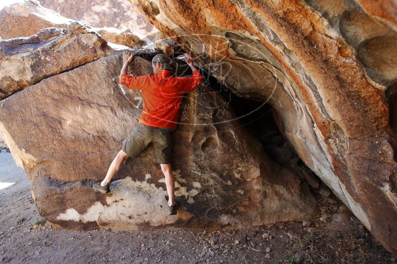 

Filename: SRM_20180329_1142091.jpg
Aperture: f/4.0
Shutter Speed: 1/250
Body: Canon EOS-1D Mark II
Lens: Canon EF 16-35mm f/2.8 L