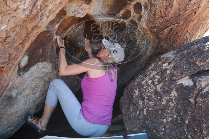 

Filename: SRM_20180329_1306210.jpg
Aperture: f/4.0
Shutter Speed: 1/800
Body: Canon EOS-1D Mark II
Lens: Canon EF 50mm f/1.8 II