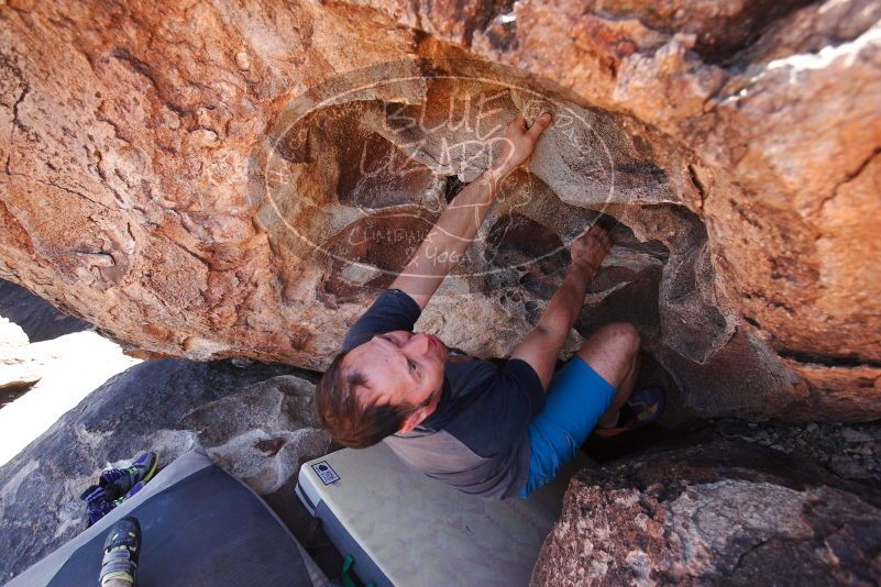 

Filename: SRM_20180329_1309060.jpg
Aperture: f/4.0
Shutter Speed: 1/500
Body: Canon EOS-1D Mark II
Lens: Canon EF 16-35mm f/2.8 L