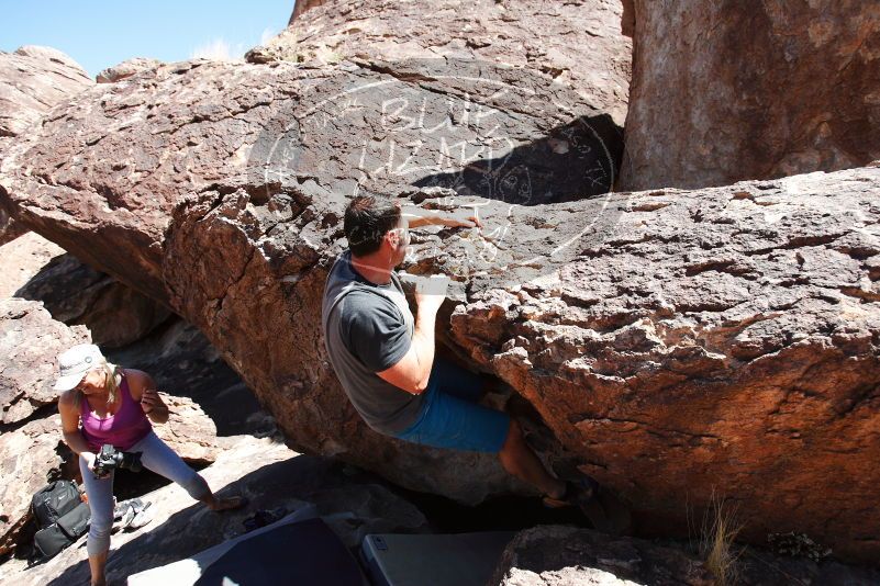 

Filename: SRM_20180329_1311100.jpg
Aperture: f/4.0
Shutter Speed: 1/2500
Body: Canon EOS-1D Mark II
Lens: Canon EF 16-35mm f/2.8 L