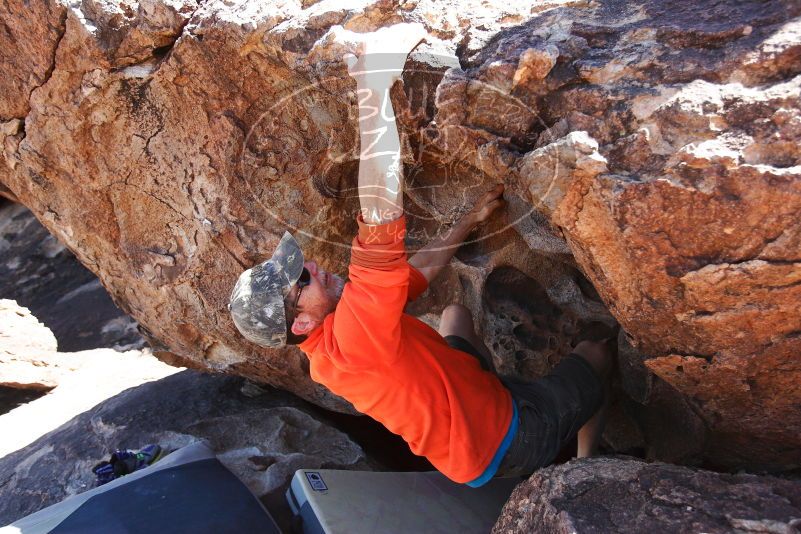 

Filename: SRM_20180329_1312090.jpg
Aperture: f/4.0
Shutter Speed: 1/800
Body: Canon EOS-1D Mark II
Lens: Canon EF 16-35mm f/2.8 L