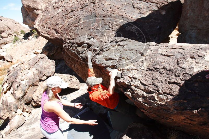 

Filename: SRM_20180329_1312150.jpg
Aperture: f/4.0
Shutter Speed: 1/5000
Body: Canon EOS-1D Mark II
Lens: Canon EF 16-35mm f/2.8 L