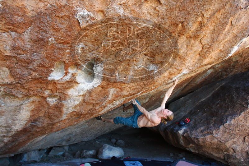 

Filename: SRM_20180329_1329340.jpg
Aperture: f/5.0
Shutter Speed: 1/320
Body: Canon EOS-1D Mark II
Lens: Canon EF 16-35mm f/2.8 L