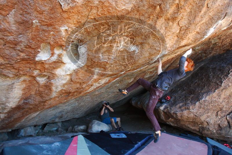 

Filename: SRM_20180329_1330361.jpg
Aperture: f/5.6
Shutter Speed: 1/200
Body: Canon EOS-1D Mark II
Lens: Canon EF 16-35mm f/2.8 L