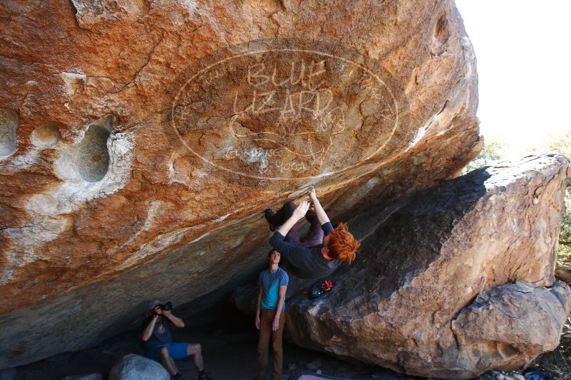 

Filename: SRM_20180329_1335210.jpg
Aperture: f/5.6
Shutter Speed: 1/320
Body: Canon EOS-1D Mark II
Lens: Canon EF 16-35mm f/2.8 L