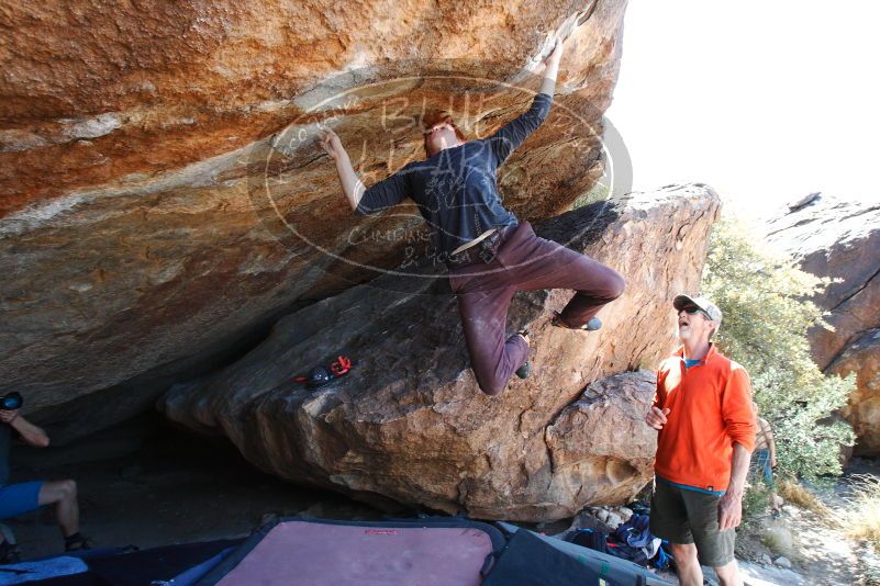 

Filename: SRM_20180329_1336442.jpg
Aperture: f/5.6
Shutter Speed: 1/250
Body: Canon EOS-1D Mark II
Lens: Canon EF 16-35mm f/2.8 L