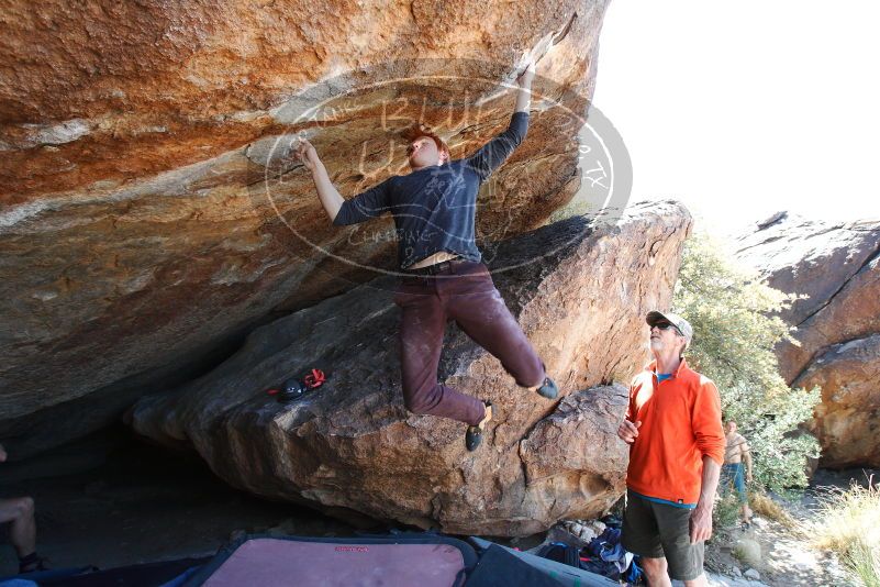 

Filename: SRM_20180329_1336443.jpg
Aperture: f/5.6
Shutter Speed: 1/250
Body: Canon EOS-1D Mark II
Lens: Canon EF 16-35mm f/2.8 L