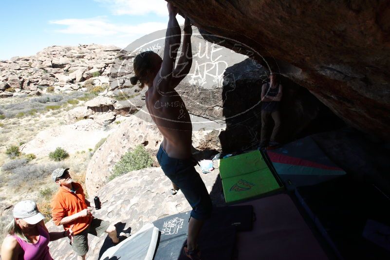 

Filename: SRM_20180329_1347501.jpg
Aperture: f/5.6
Shutter Speed: 1/2500
Body: Canon EOS-1D Mark II
Lens: Canon EF 16-35mm f/2.8 L