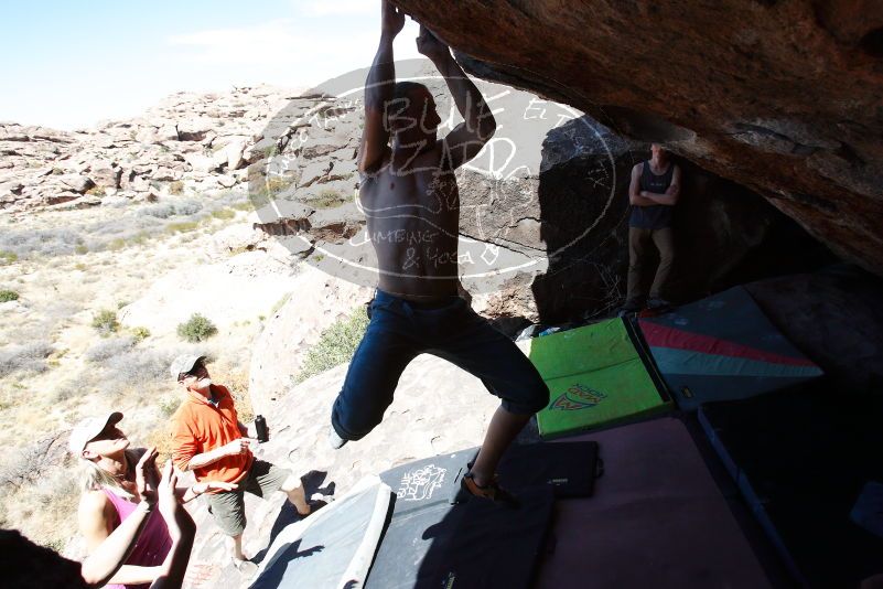 

Filename: SRM_20180329_1347511.jpg
Aperture: f/5.6
Shutter Speed: 1/1250
Body: Canon EOS-1D Mark II
Lens: Canon EF 16-35mm f/2.8 L