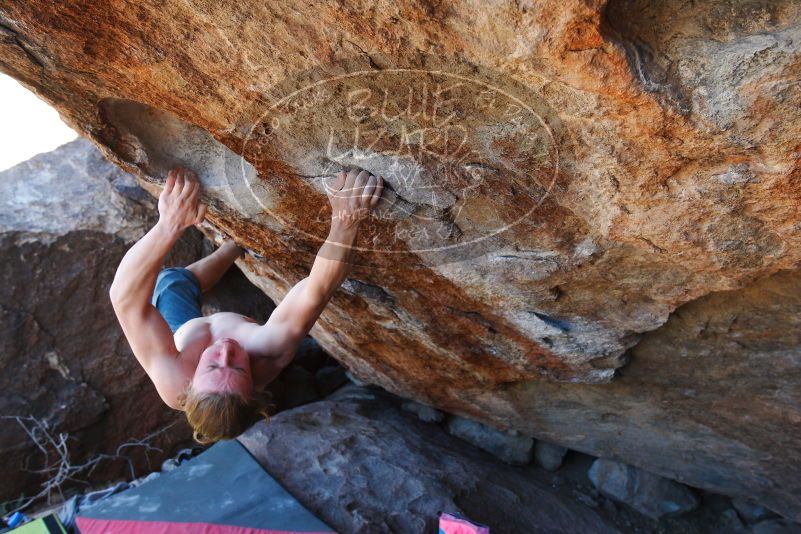 

Filename: SRM_20180329_1403030.jpg
Aperture: f/5.6
Shutter Speed: 1/200
Body: Canon EOS-1D Mark II
Lens: Canon EF 16-35mm f/2.8 L