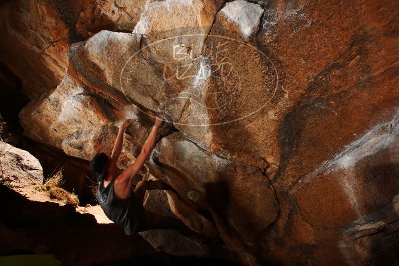 

Filename: SRM_20180329_1449230.jpg
Aperture: f/8.0
Shutter Speed: 1/250
Body: Canon EOS-1D Mark II
Lens: Canon EF 16-35mm f/2.8 L