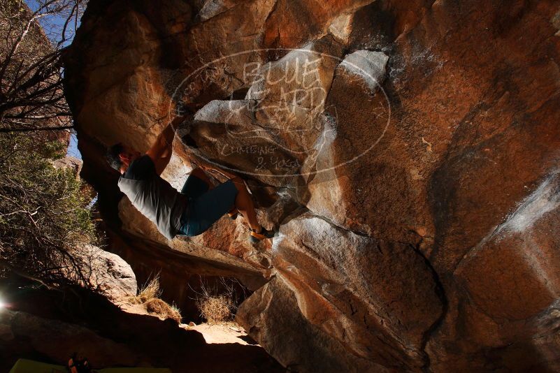 

Filename: SRM_20180329_1508130.jpg
Aperture: f/8.0
Shutter Speed: 1/250
Body: Canon EOS-1D Mark II
Lens: Canon EF 16-35mm f/2.8 L