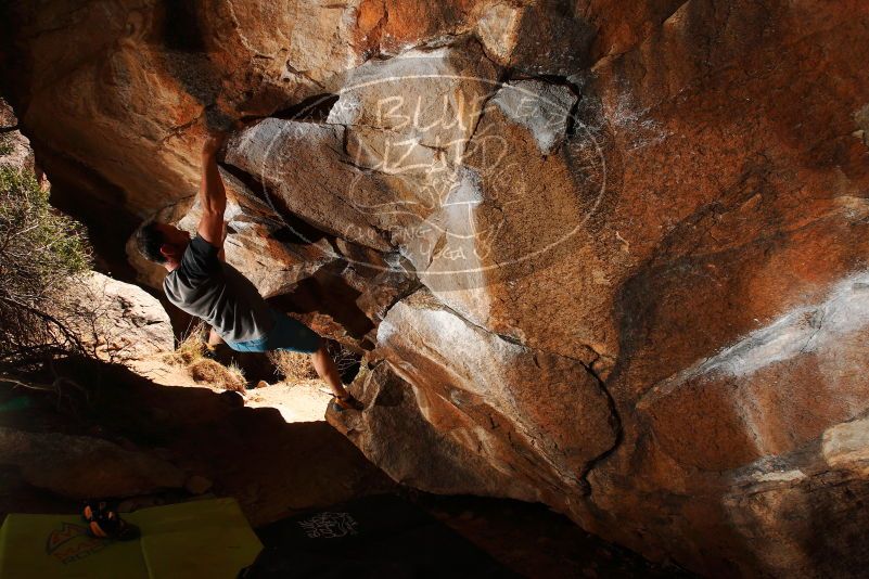 

Filename: SRM_20180329_1509330.jpg
Aperture: f/8.0
Shutter Speed: 1/250
Body: Canon EOS-1D Mark II
Lens: Canon EF 16-35mm f/2.8 L