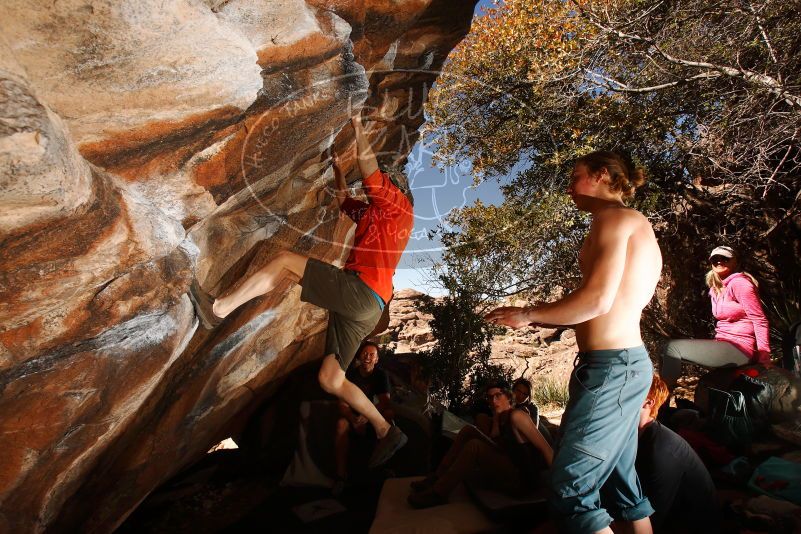 

Filename: SRM_20180329_1513390.jpg
Aperture: f/8.0
Shutter Speed: 1/250
Body: Canon EOS-1D Mark II
Lens: Canon EF 16-35mm f/2.8 L