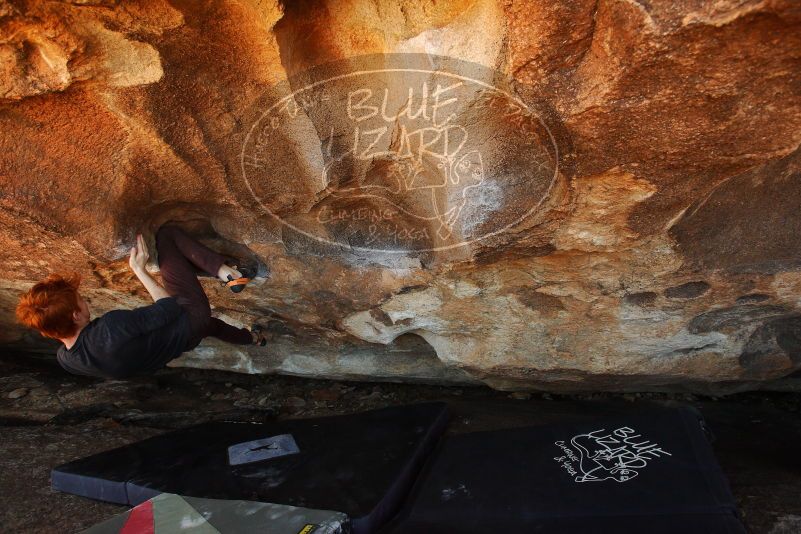 

Filename: SRM_20180329_1600120.jpg
Aperture: f/5.0
Shutter Speed: 1/250
Body: Canon EOS-1D Mark II
Lens: Canon EF 16-35mm f/2.8 L