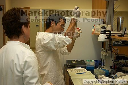 Lilya Matyunina trains new graduate student Masahin Kajita in the Ovarian Cancer Institute lab located in IBB.

Filename: crw_0792_std.jpg
Aperture: f/5.6
Shutter Speed: 1/60
Body: Canon EOS DIGITAL REBEL
Lens: Canon EF-S 18-55mm f/3.5-5.6