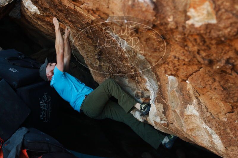 Bouldering in Hueco Tanks on 11/02/2018 with Blue Lizard Climbing and Yoga
Filename: SRM_20181102_1013491.jpg
Aperture: f/3.5
Shutter Speed: 1/500
Body: Canon EOS-1D Mark II
Lens: Canon EF 50mm f/1.8 II
