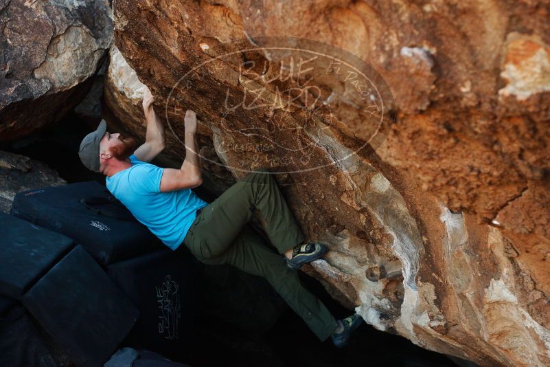 Bouldering in Hueco Tanks on 11/02/2018 with Blue Lizard Climbing and Yoga
Filename: SRM_20181102_1013531.jpg
Aperture: f/3.5
Shutter Speed: 1/500
Body: Canon EOS-1D Mark II
Lens: Canon EF 50mm f/1.8 II