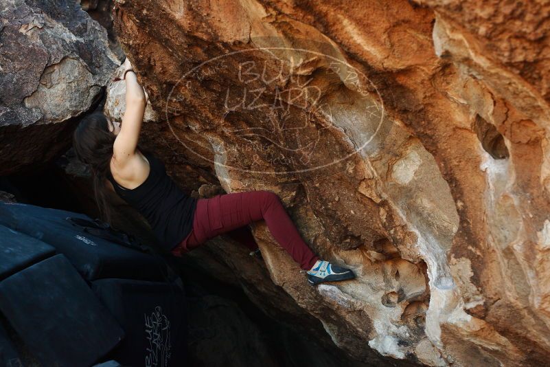 Bouldering in Hueco Tanks on 11/02/2018 with Blue Lizard Climbing and Yoga

Filename: SRM_20181102_1015141.jpg
Aperture: f/4.0
Shutter Speed: 1/250
Body: Canon EOS-1D Mark II
Lens: Canon EF 50mm f/1.8 II