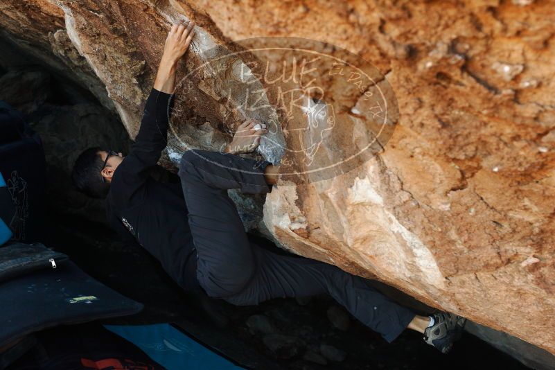 Bouldering in Hueco Tanks on 11/02/2018 with Blue Lizard Climbing and Yoga
Filename: SRM_20181102_1023131.jpg
Aperture: f/4.0
Shutter Speed: 1/160
Body: Canon EOS-1D Mark II
Lens: Canon EF 50mm f/1.8 II