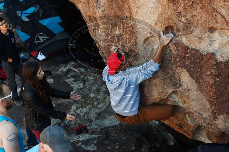 Bouldering in Hueco Tanks on 11/02/2018 with Blue Lizard Climbing and Yoga

Filename: SRM_20181102_1032201.jpg
Aperture: f/4.0
Shutter Speed: 1/500
Body: Canon EOS-1D Mark II
Lens: Canon EF 50mm f/1.8 II