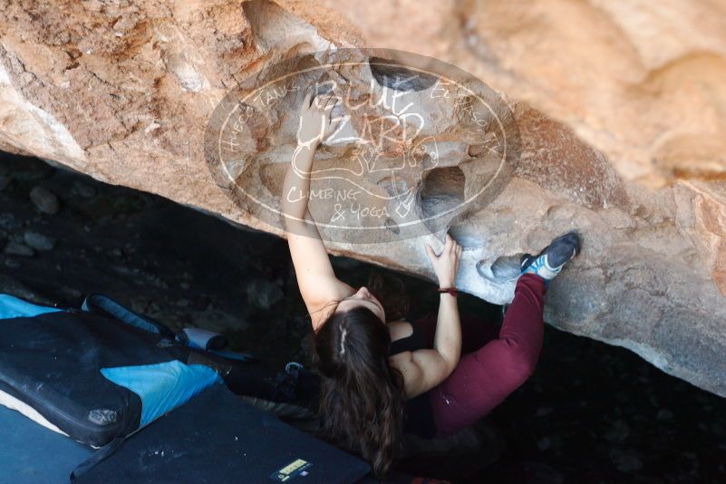 Bouldering in Hueco Tanks on 11/02/2018 with Blue Lizard Climbing and Yoga
Filename: SRM_20181102_1049510.jpg
Aperture: f/4.0
Shutter Speed: 1/160
Body: Canon EOS-1D Mark II
Lens: Canon EF 50mm f/1.8 II