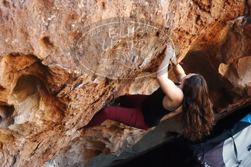 Bouldering in Hueco Tanks on 11/02/2018 with Blue Lizard Climbing and Yoga

Filename: SRM_20181102_1052251.jpg
Aperture: f/4.0
Shutter Speed: 1/250
Body: Canon EOS-1D Mark II
Lens: Canon EF 50mm f/1.8 II