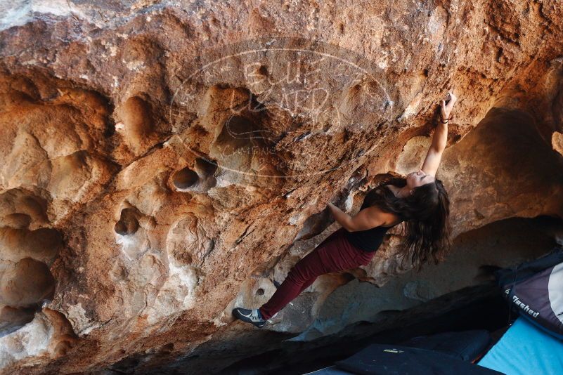 Bouldering in Hueco Tanks on 11/02/2018 with Blue Lizard Climbing and Yoga
Filename: SRM_20181102_1054080.jpg
Aperture: f/4.0
Shutter Speed: 1/320
Body: Canon EOS-1D Mark II
Lens: Canon EF 50mm f/1.8 II