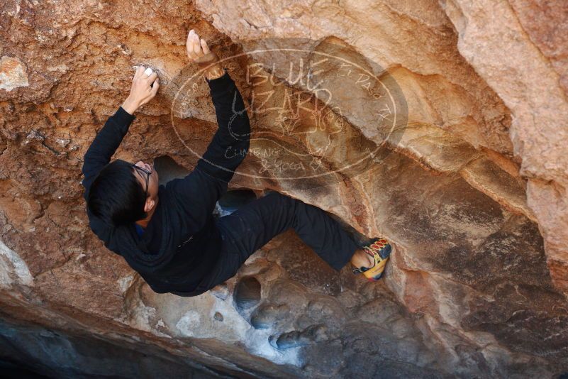 Bouldering in Hueco Tanks on 11/02/2018 with Blue Lizard Climbing and Yoga
Filename: SRM_20181102_1110171.jpg
Aperture: f/4.0
Shutter Speed: 1/320
Body: Canon EOS-1D Mark II
Lens: Canon EF 50mm f/1.8 II
