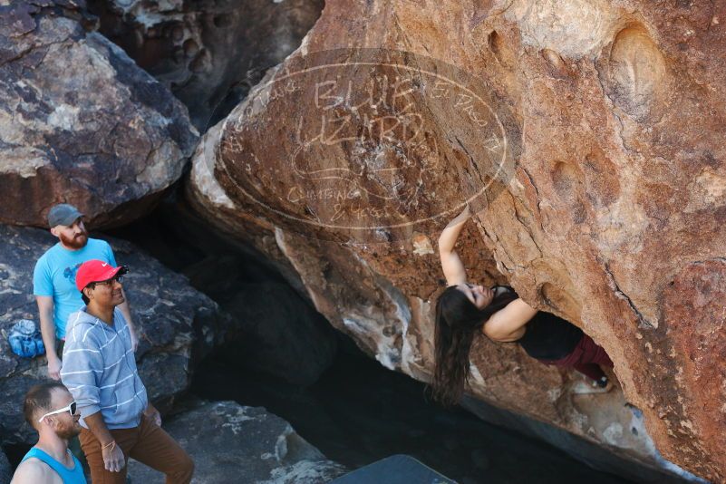 Bouldering in Hueco Tanks on 11/02/2018 with Blue Lizard Climbing and Yoga

Filename: SRM_20181102_1124350.jpg
Aperture: f/4.0
Shutter Speed: 1/500
Body: Canon EOS-1D Mark II
Lens: Canon EF 50mm f/1.8 II