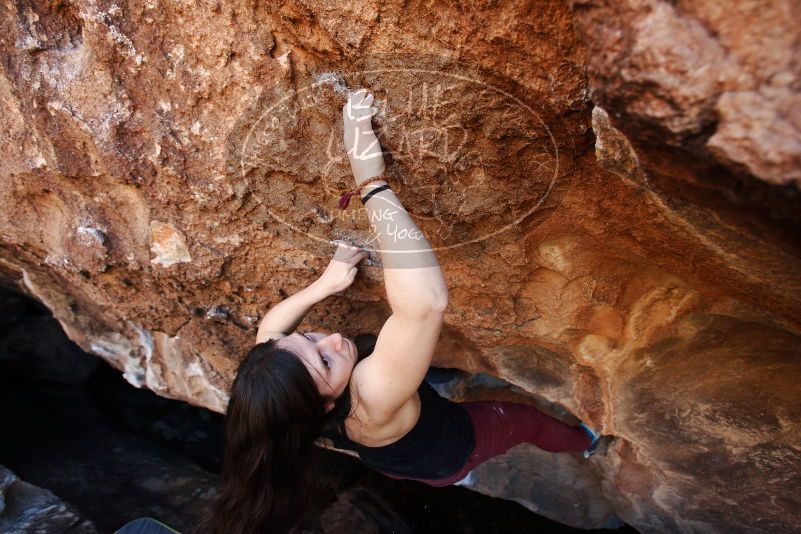 Bouldering in Hueco Tanks on 11/02/2018 with Blue Lizard Climbing and Yoga

Filename: SRM_20181102_1127150.jpg
Aperture: f/4.0
Shutter Speed: 1/320
Body: Canon EOS-1D Mark II
Lens: Canon EF 16-35mm f/2.8 L