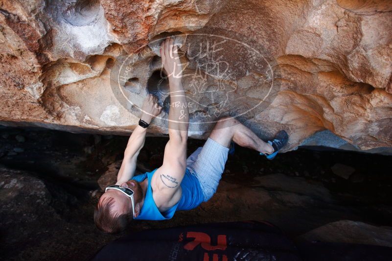 Bouldering in Hueco Tanks on 11/02/2018 with Blue Lizard Climbing and Yoga

Filename: SRM_20181102_1128310.jpg
Aperture: f/4.0
Shutter Speed: 1/200
Body: Canon EOS-1D Mark II
Lens: Canon EF 16-35mm f/2.8 L