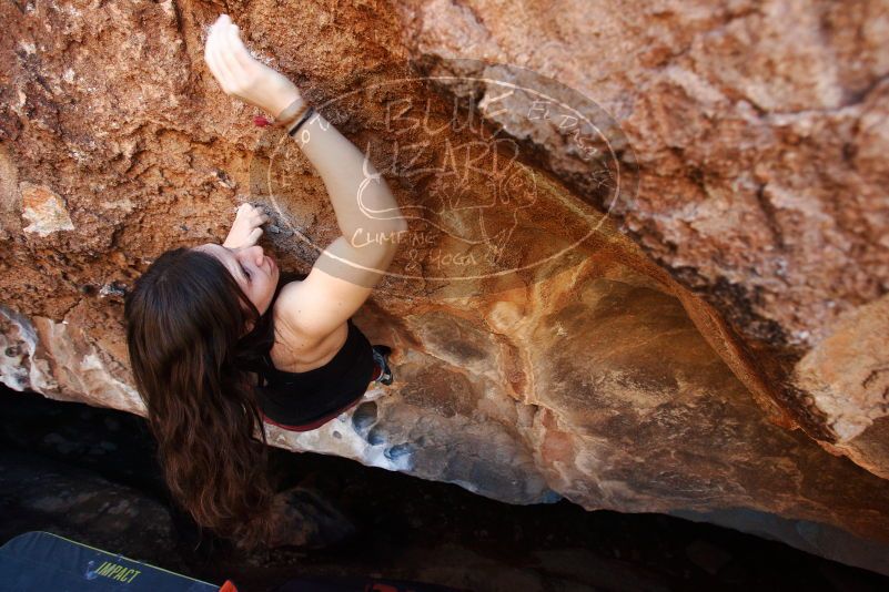 Bouldering in Hueco Tanks on 11/02/2018 with Blue Lizard Climbing and Yoga

Filename: SRM_20181102_1130290.jpg
Aperture: f/4.0
Shutter Speed: 1/320
Body: Canon EOS-1D Mark II
Lens: Canon EF 16-35mm f/2.8 L