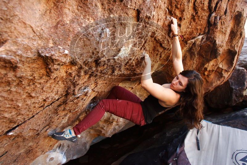 Bouldering in Hueco Tanks on 11/02/2018 with Blue Lizard Climbing and Yoga

Filename: SRM_20181102_1133440.jpg
Aperture: f/4.0
Shutter Speed: 1/320
Body: Canon EOS-1D Mark II
Lens: Canon EF 16-35mm f/2.8 L