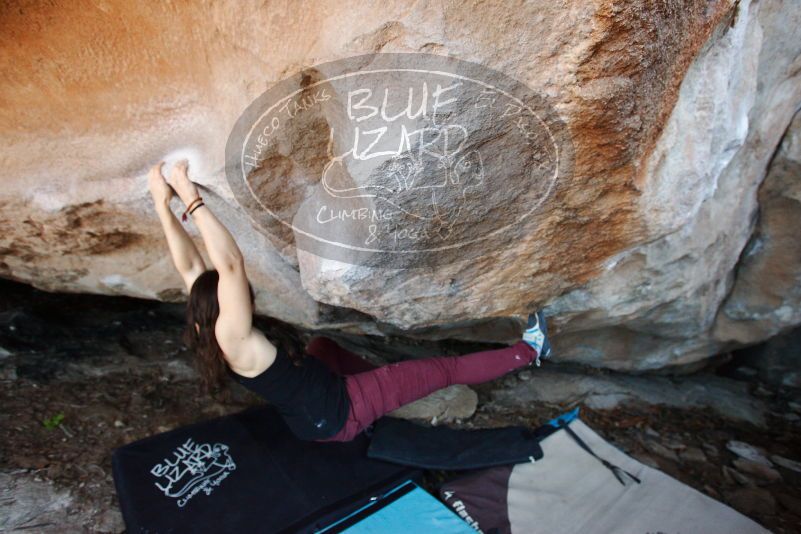 Bouldering in Hueco Tanks on 11/02/2018 with Blue Lizard Climbing and Yoga
Filename: SRM_20181102_1216170.jpg
Aperture: f/4.0
Shutter Speed: 1/250
Body: Canon EOS-1D Mark II
Lens: Canon EF 16-35mm f/2.8 L