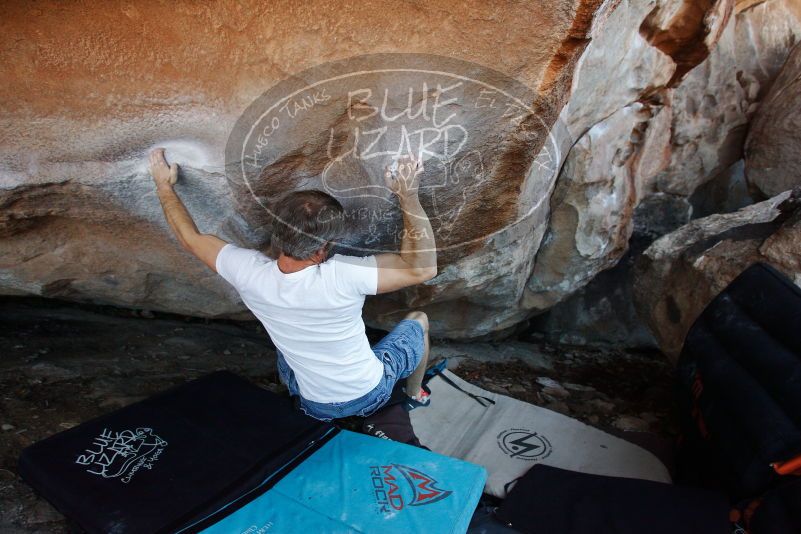 Bouldering in Hueco Tanks on 11/02/2018 with Blue Lizard Climbing and Yoga

Filename: SRM_20181102_1223160.jpg
Aperture: f/4.0
Shutter Speed: 1/320
Body: Canon EOS-1D Mark II
Lens: Canon EF 16-35mm f/2.8 L