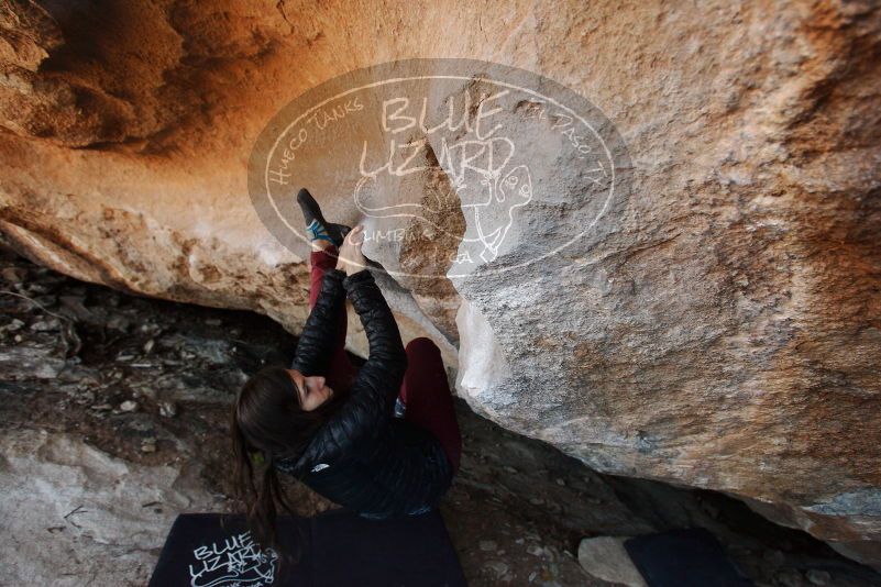 Bouldering in Hueco Tanks on 11/02/2018 with Blue Lizard Climbing and Yoga
Filename: SRM_20181102_1247160.jpg
Aperture: f/4.0
Shutter Speed: 1/320
Body: Canon EOS-1D Mark II
Lens: Canon EF 16-35mm f/2.8 L