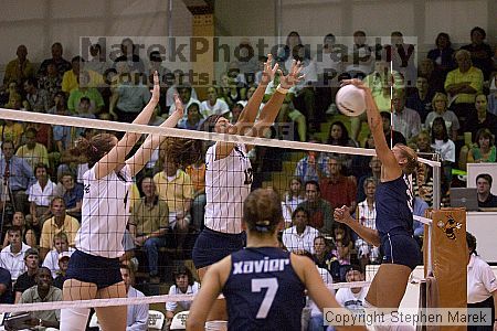 

Filename: crw_0361_std.jpg
Aperture: f/2.8
Shutter Speed: 1/500
Body: Canon EOS DIGITAL REBEL
Lens: Canon EF 80-200mm f/2.8 L