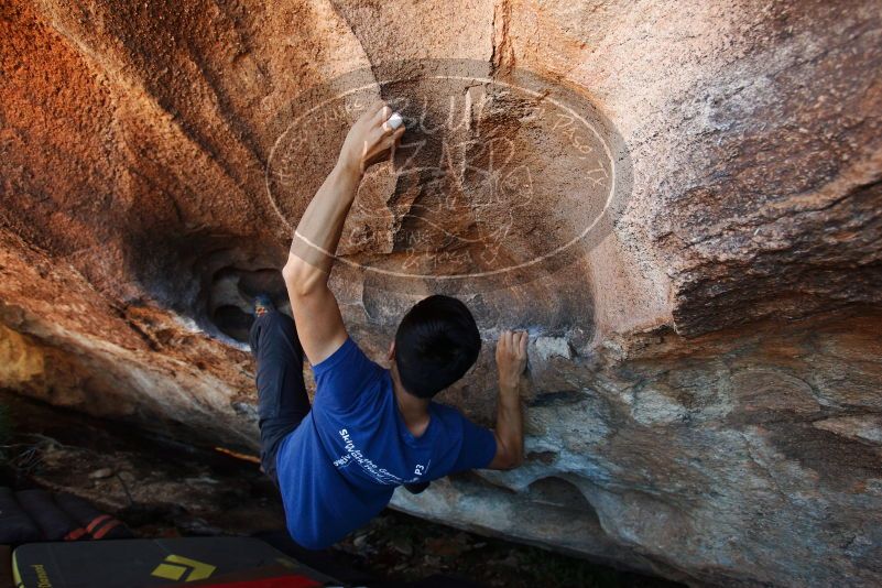 Bouldering in Hueco Tanks on 11/02/2018 with Blue Lizard Climbing and Yoga
Filename: SRM_20181102_1348310.jpg
Aperture: f/4.0
Shutter Speed: 1/250
Body: Canon EOS-1D Mark II
Lens: Canon EF 16-35mm f/2.8 L
