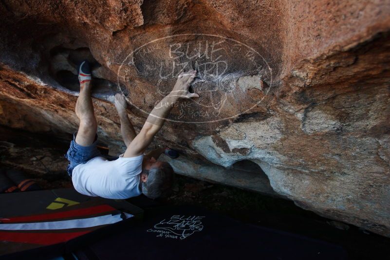 Bouldering in Hueco Tanks on 11/02/2018 with Blue Lizard Climbing and Yoga

Filename: SRM_20181102_1349100.jpg
Aperture: f/4.0
Shutter Speed: 1/320
Body: Canon EOS-1D Mark II
Lens: Canon EF 16-35mm f/2.8 L