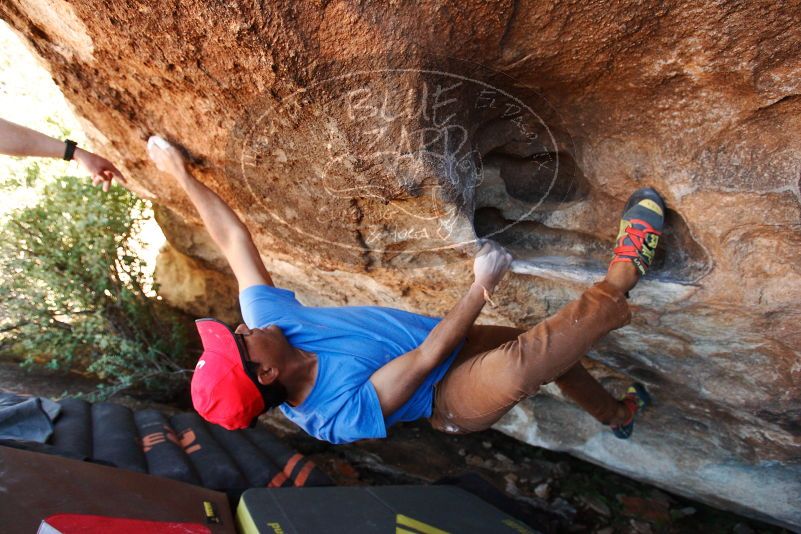 Bouldering in Hueco Tanks on 11/02/2018 with Blue Lizard Climbing and Yoga

Filename: SRM_20181102_1352560.jpg
Aperture: f/4.0
Shutter Speed: 1/250
Body: Canon EOS-1D Mark II
Lens: Canon EF 16-35mm f/2.8 L