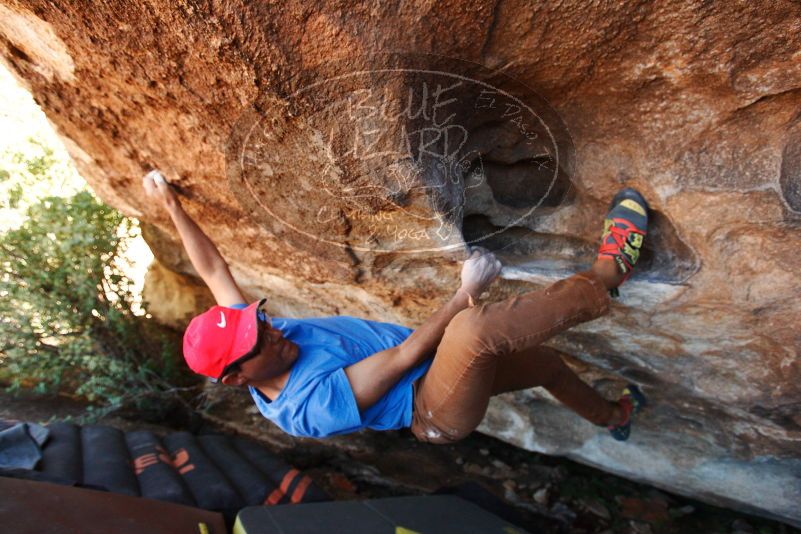 Bouldering in Hueco Tanks on 11/02/2018 with Blue Lizard Climbing and Yoga
Filename: SRM_20181102_1352580.jpg
Aperture: f/4.0
Shutter Speed: 1/250
Body: Canon EOS-1D Mark II
Lens: Canon EF 16-35mm f/2.8 L