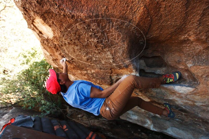 Bouldering in Hueco Tanks on 11/02/2018 with Blue Lizard Climbing and Yoga
Filename: SRM_20181102_1353040.jpg
Aperture: f/4.0
Shutter Speed: 1/400
Body: Canon EOS-1D Mark II
Lens: Canon EF 16-35mm f/2.8 L
