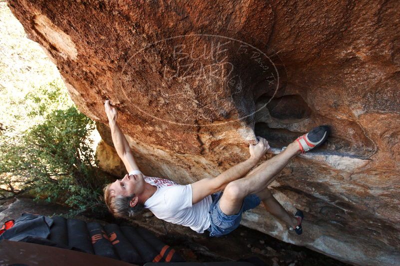 Bouldering in Hueco Tanks on 11/02/2018 with Blue Lizard Climbing and Yoga
Filename: SRM_20181102_1353310.jpg
Aperture: f/4.0
Shutter Speed: 1/500
Body: Canon EOS-1D Mark II
Lens: Canon EF 16-35mm f/2.8 L